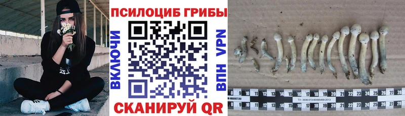 купить наркоту  Печоры  блэк спрут вход  Галлюциногенные грибы прущие грибы 