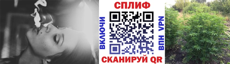 МАРИХУАНА планчик где найти Печоры